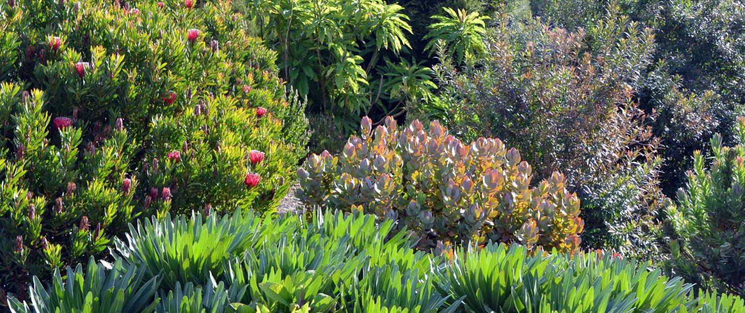 Landscaping Services